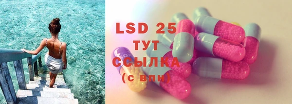прущие грибы Абаза