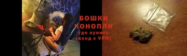 прущие грибы Абаза