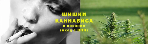 прущие грибы Абаза
