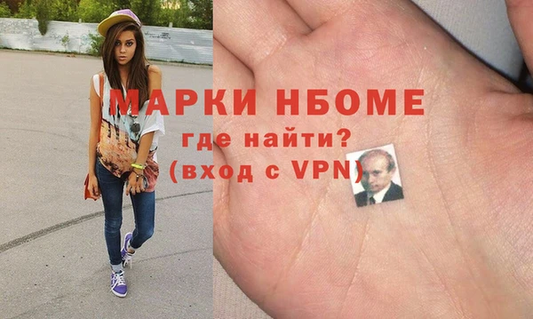 прущие грибы Абаза