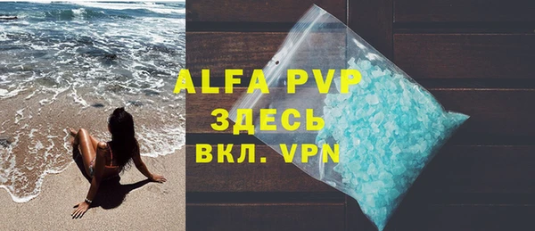 прущие грибы Абаза