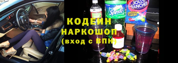 прущие грибы Абаза